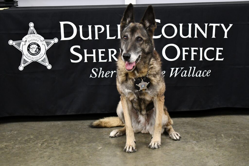 Photo of one of the D.I.C.E Team K-9's.