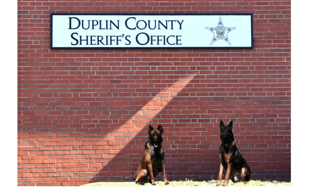 Photo of the D.I.C.E Team K-9's.